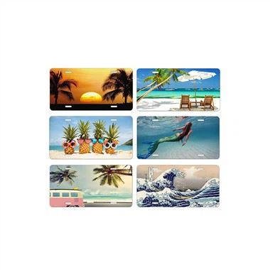 Placa de matrícula de cotxe única d'alumini